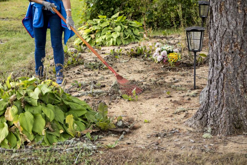 Local Ditch Clearing Service pros at work