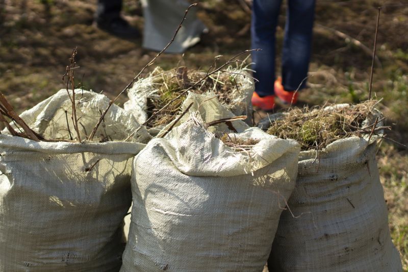 Ditch Clearing Service